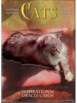 Cartas Oráculo Cats