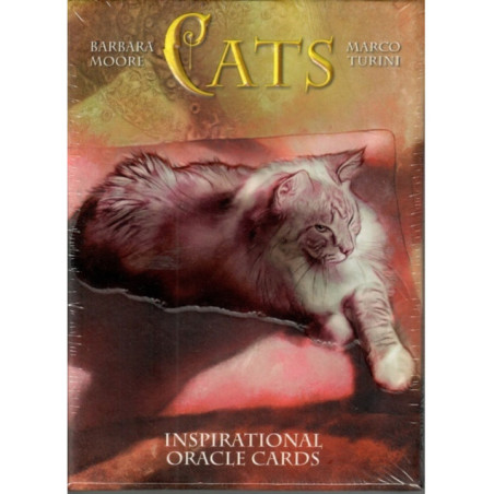 Cartas Oráculo Cats