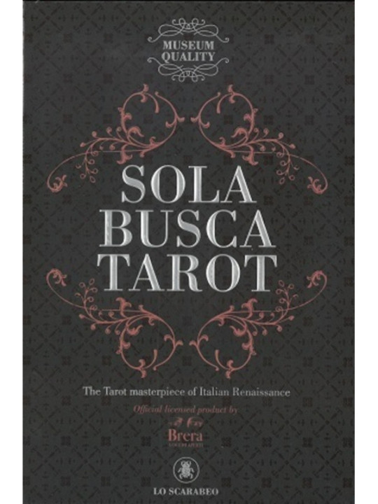 Libro mas Cartas Sola Busca Tarot