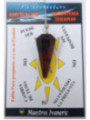 Péndulo Mineral Selenita de 3,5 a 4,5cm