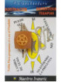 Péndulo Mineral Aventurina Naranja con Pentagrama
