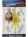 Péndulo Mineral Amatista con Pentagrama