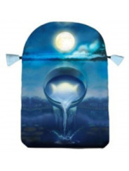 Bolsa Guarda Tarot Brujería de Plata. 16cm X22.5cm