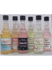 Pack de 6 Aguas Variadas Maestros Ivaneric. Obtienes un 20% Descuento
