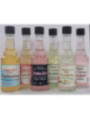 Pack de 6 Aguas Variadas Maestros Ivaneric. Obtienes un 20% Descuento