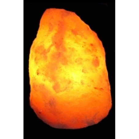 Lampara Natural de Sal del Himalaya 8 a 10 Kg
