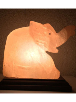 Lámpara Artesanal de Sal Elefante de 20x20 cm