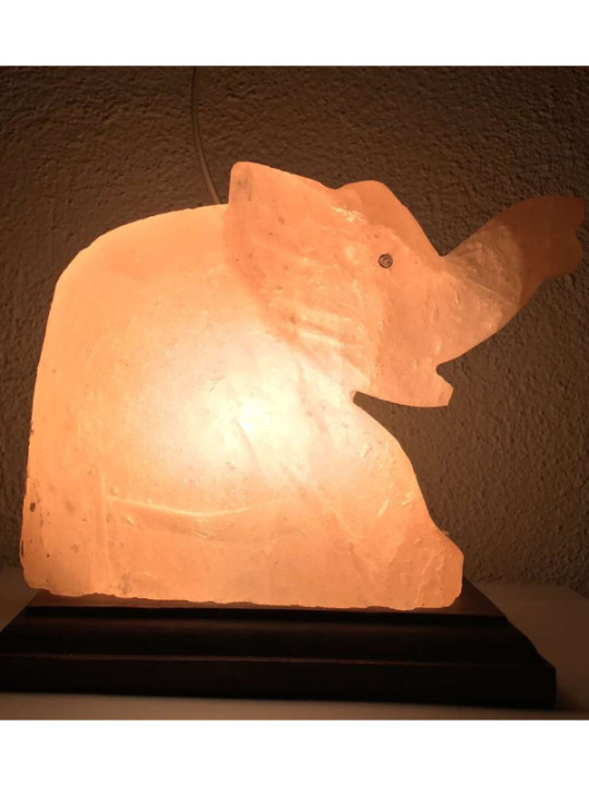 Lámpara Artesanal de Sal Elefante de 20x20 cm