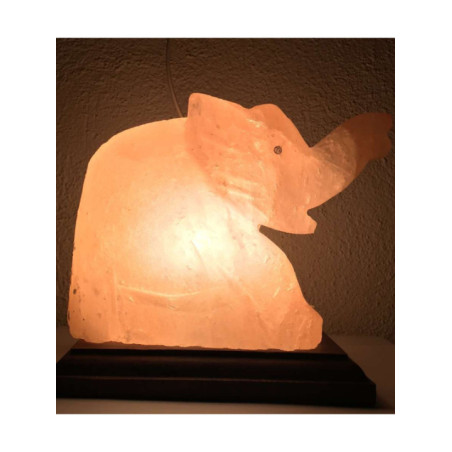 Lámpara Artesanal de Sal Elefante de 20x20 cm