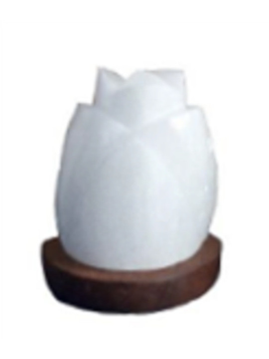 Lámpara de Selenita USB, forma de Rosa de 15-20cm. 500-800Gr