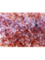 Sal del Himalaya 2.4mm. Paquete de 1 Kilo.
