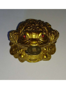 Sapo de la Fortuna con Moneda