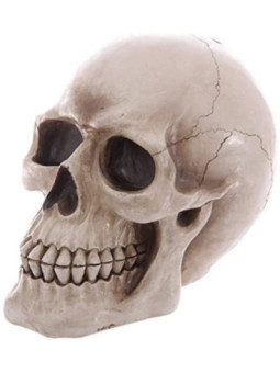 Figura Hucha forma de Calavera 24,5 x 16 x 19,5 cm