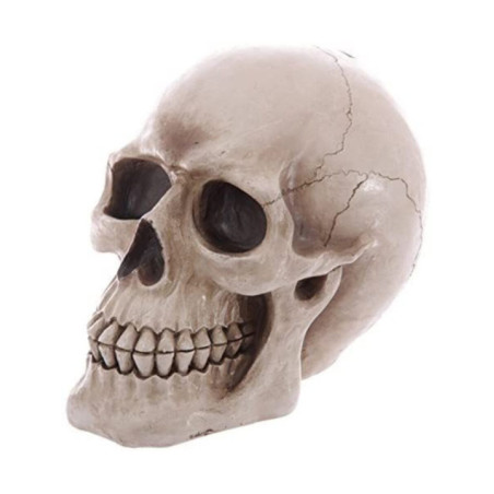 Figura Hucha forma de Calavera 24,5 x 16 x 19,5 cm