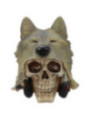 Figura de Calavera con cabeza de Lobo, 13,5 x 15 x 15,5 cm