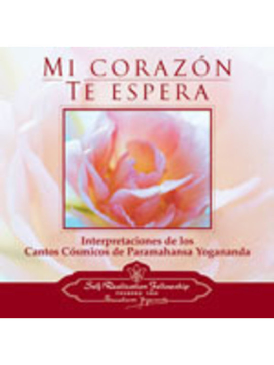 Musica Cd, Mi Corazón te Espera