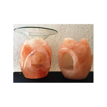 Quemador de Aceite forma Rosa  Natural de Sal del Himalaya
