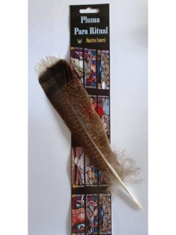 Pluma para  Ritual, 20 a 30 cm