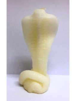 Serpiente Cobra Blanca