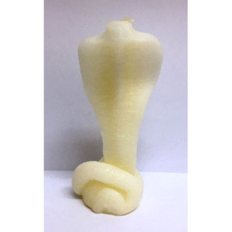 Serpiente Cobra Blanca