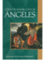 Libro Como Trabajar con los Ángeles.