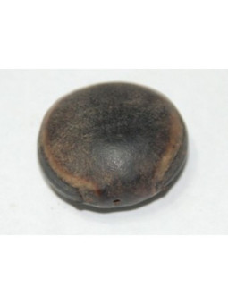 Amuleto Ojo de Buey. Fuerza y Protección