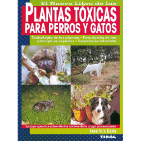 Plantas tóxicas para perros y gatos