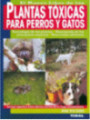 Plantas tóxicas para perros y gatos