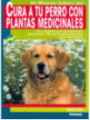 Cura a tu perro con plantas medicinales