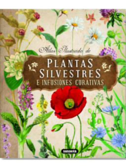 Plantas silvestres e infusiones curativas.