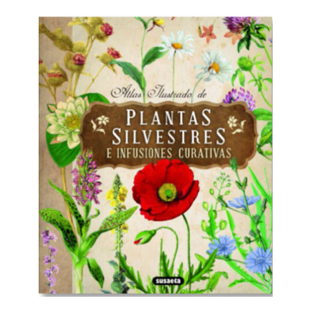 Plantas silvestres e infusiones curativas.