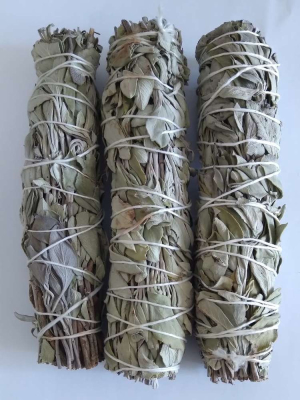Atadillo de Salvia  de 13-16cm aprox.