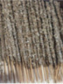Stick de Salvia Blanca, Palito de Hierbas de Salvia Blanca, Venta por Unidades