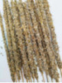 Stick de Caléndula, Salvia Blanca y Sándalo. Venta por unidades.