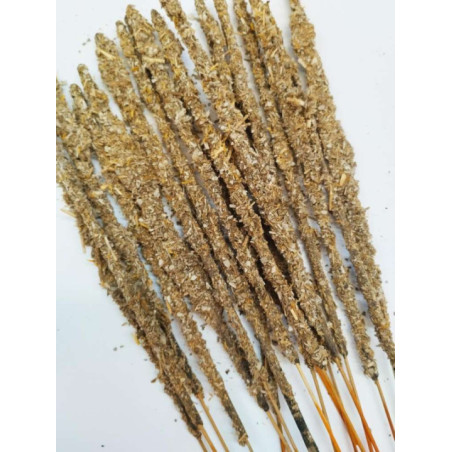 Stick de Lavanda, Salvia Blanca y Sándalo. Venta por unidades.