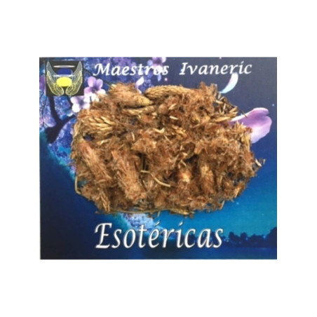 Hierba Esotérica Pino Yemas 30 Gramos