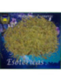 Hierba Esotérica Romero. 10 Gramos