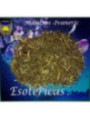 Hierba Esotérica Fumaria. 10 Gramos