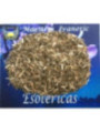 Hierba Esotérica Agrimonia 10 Gramos
