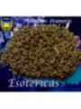 Hierba Esotérica Flor de Espliego (Lavanda)100 Gramos
