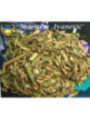 Hierba Esotérica Olivo Triturado 100 Gramos