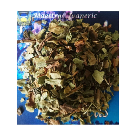 Hierba Esotérica Pulmonaria 100 Gramos