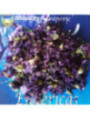 Hierba Esotérica Flor Malva. 100 Gramos
