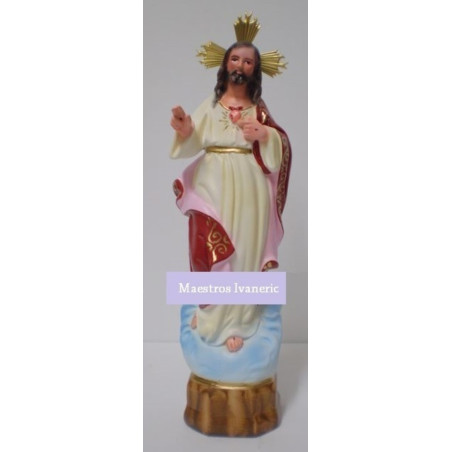 Imagen Corazón de Jesus (Bendecido) 25cm