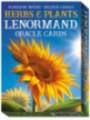 Herbs & plants lenormand oracle cards.