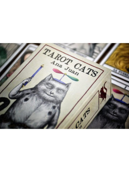 Tarot Cats, Tarot de los Gatos, Fournier
