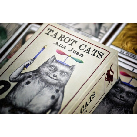 Tarot Cats, Tarot de los Gatos, Fournier