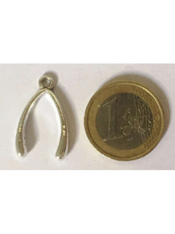 Amuleto Colgante Hueso de la Suerte