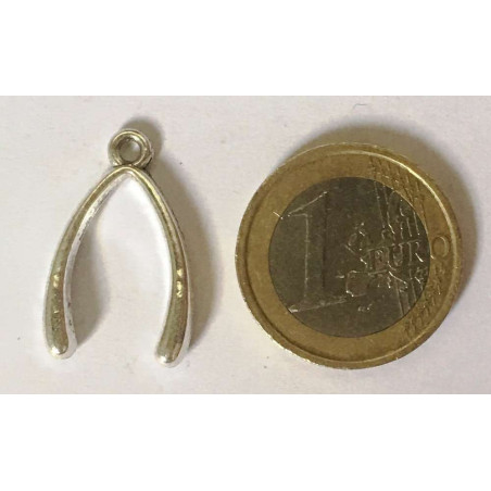 Amuleto Colgante Hueso de la Suerte