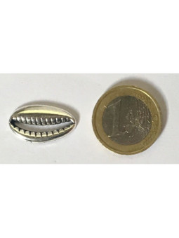 Amuleto Bucio de Santeria. Acierto en las Decisiones